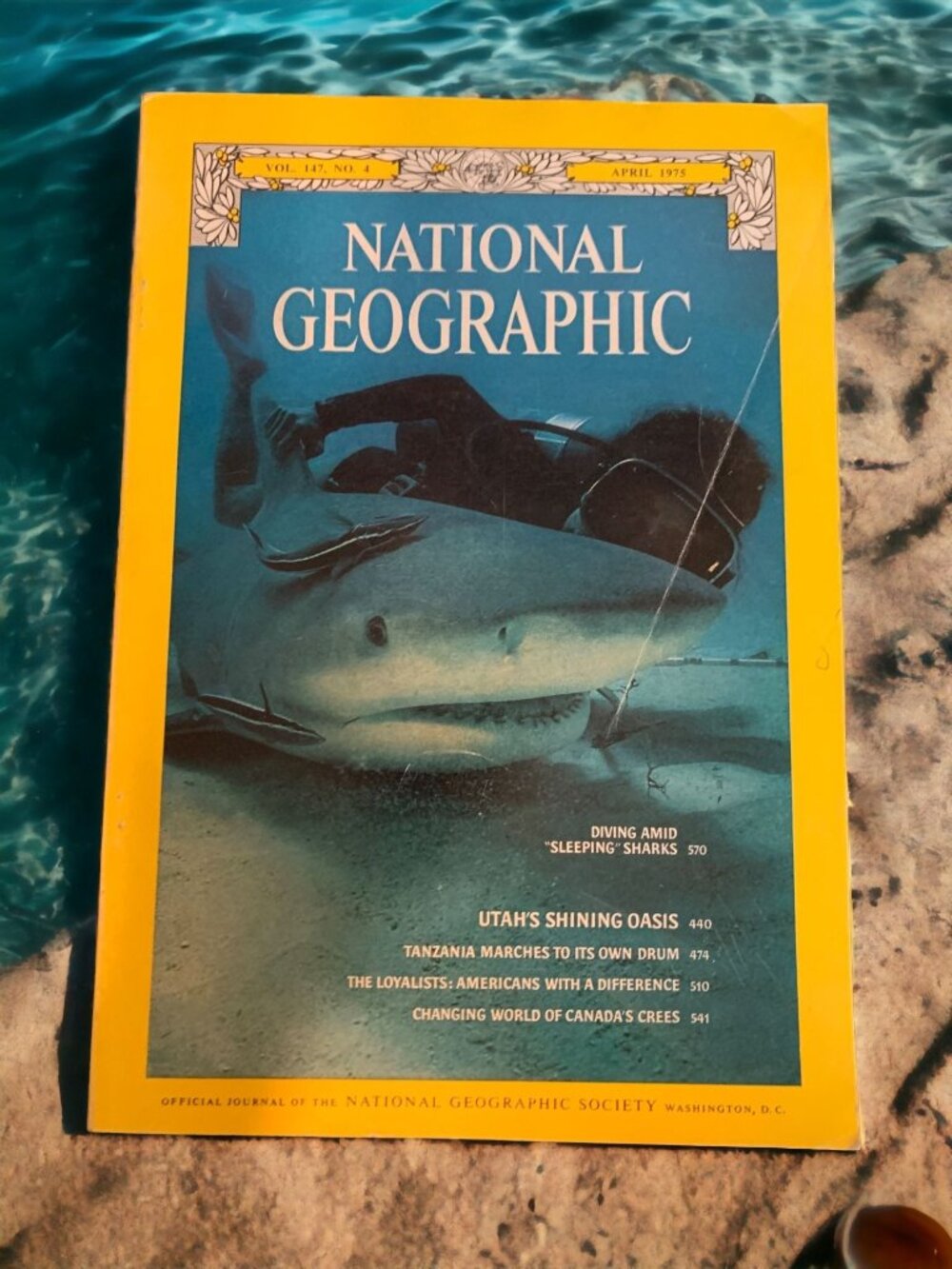 National Geographic April 1975 Sharks Scuba Diving Vintage Magazine